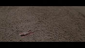 Filename=theinformers10396.jpg
Filesize=497KiB
Dimensions=1920x1080
Date added=Apr 19, 2021 theinformers10396.jpg