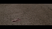 Filename=theinformers10397.jpg
Filesize=505KiB
Dimensions=1920x1080
Date added=Apr 19, 2021 theinformers10397.jpg