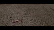 Filename=theinformers10398.jpg
Filesize=525KiB
Dimensions=1920x1080
Date added=Apr 19, 2021 theinformers10398.jpg