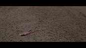 Filename=theinformers10401.jpg
Filesize=552KiB
Dimensions=1920x1080
Date added=Apr 19, 2021 theinformers10401.jpg