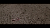 Filename=theinformers10402.jpg
Filesize=547KiB
Dimensions=1920x1080
Date added=Apr 19, 2021 theinformers10402.jpg
