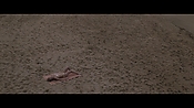 Filename=theinformers10403.jpg
Filesize=545KiB
Dimensions=1920x1080
Date added=Apr 19, 2021 theinformers10403.jpg