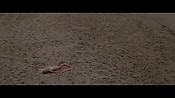 Filename=theinformers10404.jpg
Filesize=560KiB
Dimensions=1920x1080
Date added=Apr 19, 2021 theinformers10404.jpg