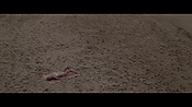 Filename=theinformers10405.jpg
Filesize=538KiB
Dimensions=1920x1080
Date added=Apr 19, 2021 theinformers10405.jpg