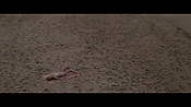Filename=theinformers10406.jpg
Filesize=537KiB
Dimensions=1920x1080
Date added=Apr 19, 2021 theinformers10406.jpg
