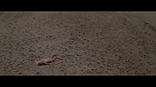 Filename=theinformers10408.jpg
Filesize=553KiB
Dimensions=1920x1080
Date added=Apr 19, 2021 theinformers10408.jpg