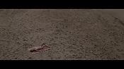 Filename=theinformers10410.jpg
Filesize=563KiB
Dimensions=1920x1080
Date added=Apr 19, 2021 theinformers10410.jpg