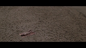 Filename=theinformers10412.jpg
Filesize=538KiB
Dimensions=1920x1080
Date added=Apr 19, 2021 theinformers10412.jpg