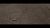 Filename=theinformers10413.jpg
Filesize=564KiB
Dimensions=1920x1080
Date added=Apr 19, 2021 theinformers10413.jpg