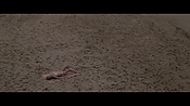 Filename=theinformers10414.jpg
Filesize=550KiB
Dimensions=1920x1080
Date added=Apr 19, 2021 theinformers10414.jpg