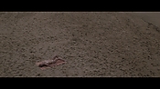 Filename=theinformers10418.jpg
Filesize=545KiB
Dimensions=1920x1080
Date added=Apr 19, 2021 theinformers10418.jpg