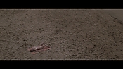 Filename=theinformers10420.jpg
Filesize=548KiB
Dimensions=1920x1080
Date added=Apr 19, 2021 theinformers10420.jpg