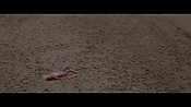 Filename=theinformers10421.jpg
Filesize=545KiB
Dimensions=1920x1080
Date added=Apr 19, 2021 theinformers10421.jpg