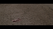 Filename=theinformers10422.jpg
Filesize=565KiB
Dimensions=1920x1080
Date added=Apr 19, 2021 theinformers10422.jpg