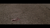 Filename=theinformers10423.jpg
Filesize=548KiB
Dimensions=1920x1080
Date added=Apr 19, 2021 theinformers10423.jpg