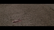 Filename=theinformers10427.jpg
Filesize=492KiB
Dimensions=1920x1080
Date added=Apr 19, 2021 theinformers10427.jpg