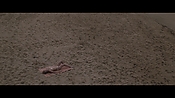 Filename=theinformers10429.jpg
Filesize=468KiB
Dimensions=1920x1080
Date added=Apr 19, 2021 theinformers10429.jpg
