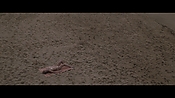 Filename=theinformers10431.jpg
Filesize=502KiB
Dimensions=1920x1080
Date added=Apr 19, 2021 theinformers10431.jpg