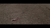 Filename=theinformers10432.jpg
Filesize=516KiB
Dimensions=1920x1080
Date added=Apr 19, 2021 theinformers10432.jpg