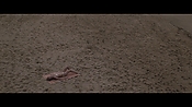 Filename=theinformers10434.jpg
Filesize=531KiB
Dimensions=1920x1080
Date added=Apr 19, 2021 theinformers10434.jpg