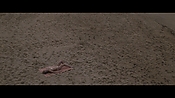 Filename=theinformers10435.jpg
Filesize=540KiB
Dimensions=1920x1080
Date added=Apr 19, 2021 theinformers10435.jpg