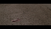 Filename=theinformers10437.jpg
Filesize=540KiB
Dimensions=1920x1080
Date added=Apr 19, 2021 theinformers10437.jpg