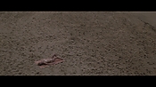 Filename=theinformers10438.jpg
Filesize=553KiB
Dimensions=1920x1080
Date added=Apr 19, 2021 theinformers10438.jpg