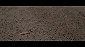 Filename=theinformers10439.jpg
Filesize=546KiB
Dimensions=1920x1080
Date added=Apr 19, 2021 theinformers10439.jpg