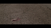 Filename=theinformers10442.jpg
Filesize=549KiB
Dimensions=1920x1080
Date added=Apr 19, 2021 theinformers10442.jpg