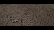 Filename=theinformers10443.jpg
Filesize=544KiB
Dimensions=1920x1080
Date added=Apr 19, 2021 theinformers10443.jpg