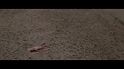 Filename=theinformers10444.jpg
Filesize=561KiB
Dimensions=1920x1080
Date added=Apr 19, 2021 theinformers10444.jpg