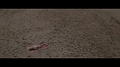 Filename=theinformers10447.jpg
Filesize=563KiB
Dimensions=1920x1080
Date added=Apr 19, 2021 theinformers10447.jpg