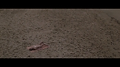 Filename=theinformers10450.jpg
Filesize=573KiB
Dimensions=1920x1080
Date added=Apr 19, 2021 theinformers10450.jpg