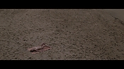 Filename=theinformers10451.jpg
Filesize=552KiB
Dimensions=1920x1080
Date added=Apr 19, 2021 theinformers10451.jpg