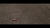Filename=theinformers10455.jpg
Filesize=565KiB
Dimensions=1920x1080
Date added=Apr 19, 2021 theinformers10455.jpg