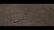 Filename=theinformers10456.jpg
Filesize=547KiB
Dimensions=1920x1080
Date added=Apr 19, 2021 theinformers10456.jpg