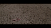 Filename=theinformers10457.jpg
Filesize=531KiB
Dimensions=1920x1080
Date added=Apr 19, 2021 theinformers10457.jpg
