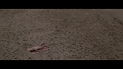 Filename=theinformers10459.jpg
Filesize=512KiB
Dimensions=1920x1080
Date added=Apr 19, 2021 theinformers10459.jpg