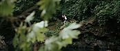 theriverwhy01066.jpg