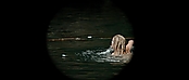 theriverwhy01110.jpg