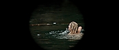 theriverwhy01111.jpg