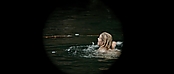 theriverwhy01112.jpg