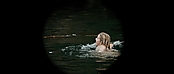 theriverwhy01113.jpg