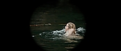 theriverwhy01114.jpg