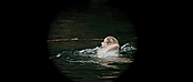 theriverwhy01115.jpg