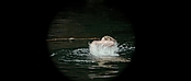theriverwhy01116.jpg