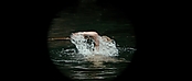 theriverwhy01118.jpg