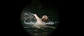 theriverwhy01122.jpg