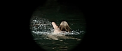 theriverwhy01123.jpg