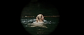 theriverwhy01128.jpg